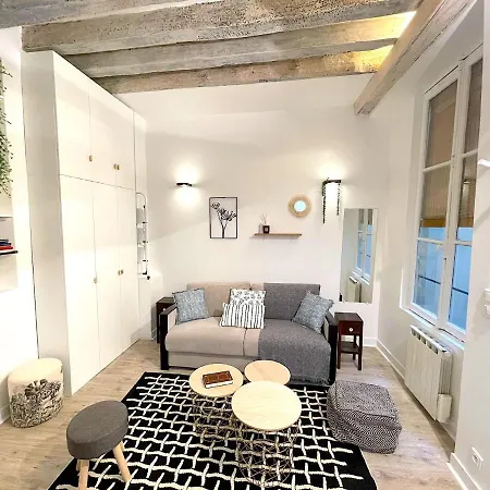 Loft Augustins * Paris