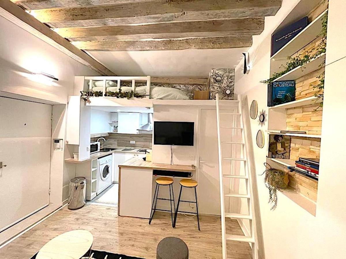 Loft Augustins Parigi