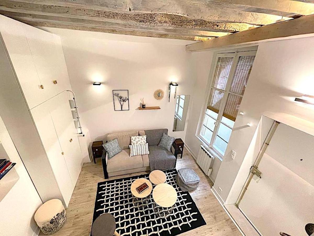 Loft Augustins Parigi